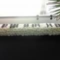 Caisse d'Epargne, thème de la musique
