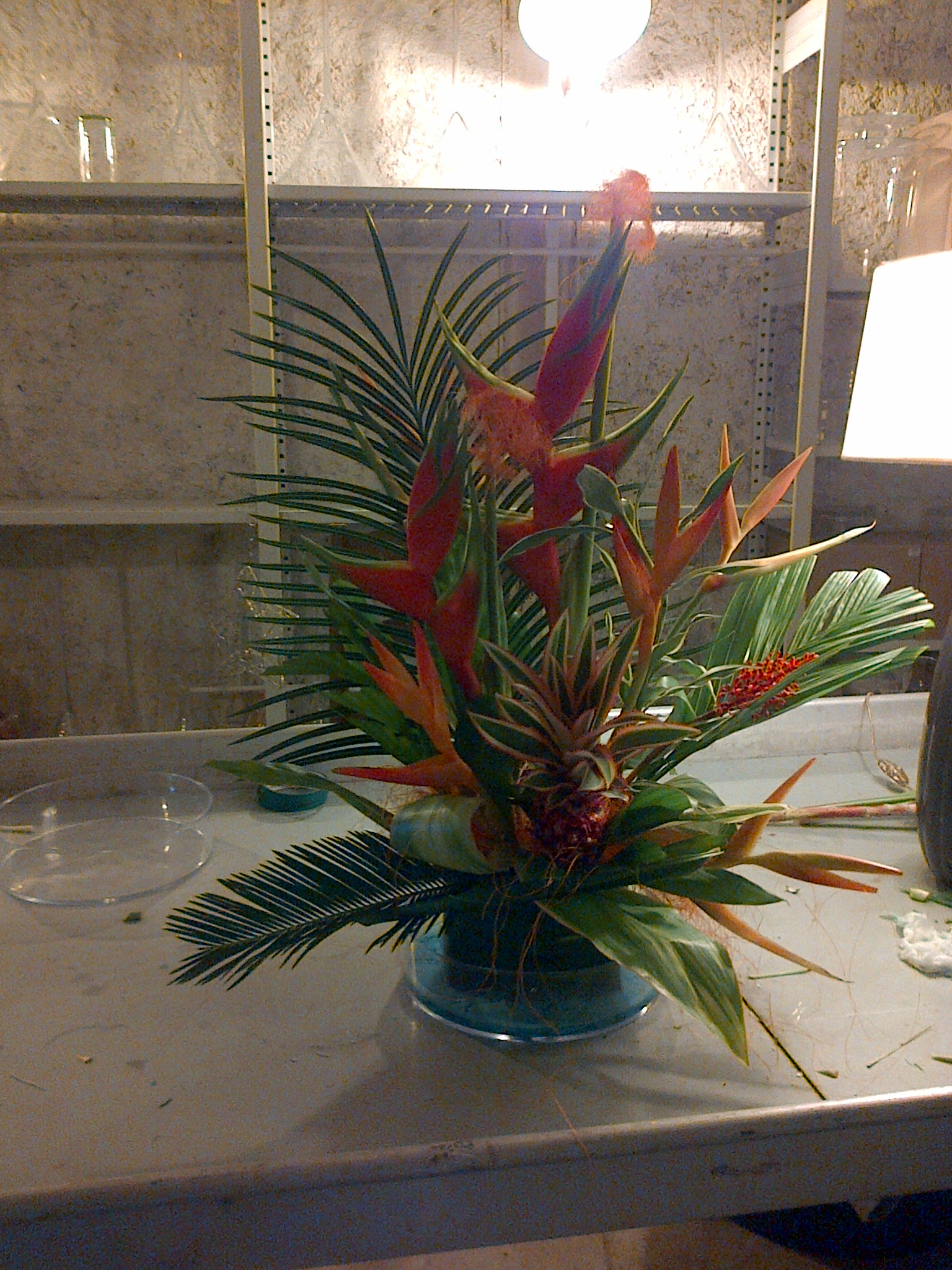 IMG-20130627-00169